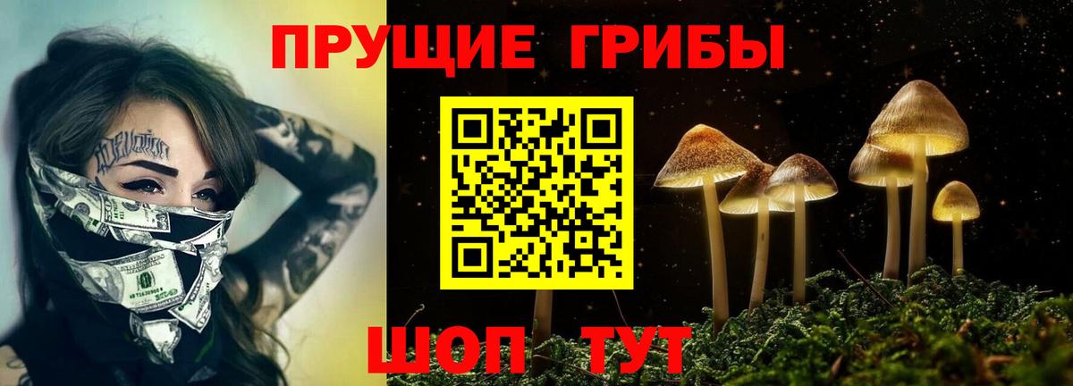 Рязань  Галлюциногенные грибы прущие грибы  Вход с VPN  Галлюциногенные грибы MAGIC MUSHROOMS 